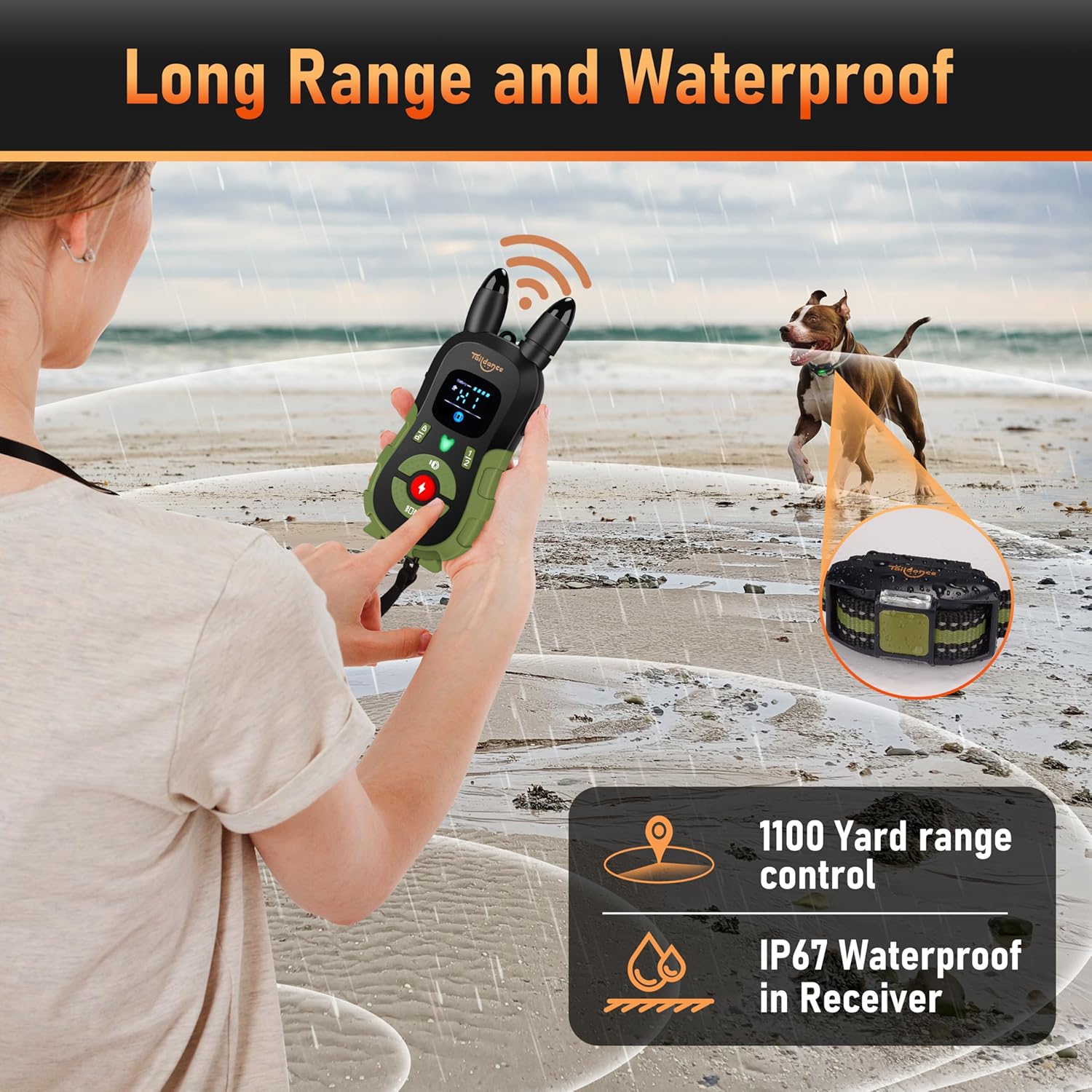 Dog collar with Remote Control and Flashing Night Light