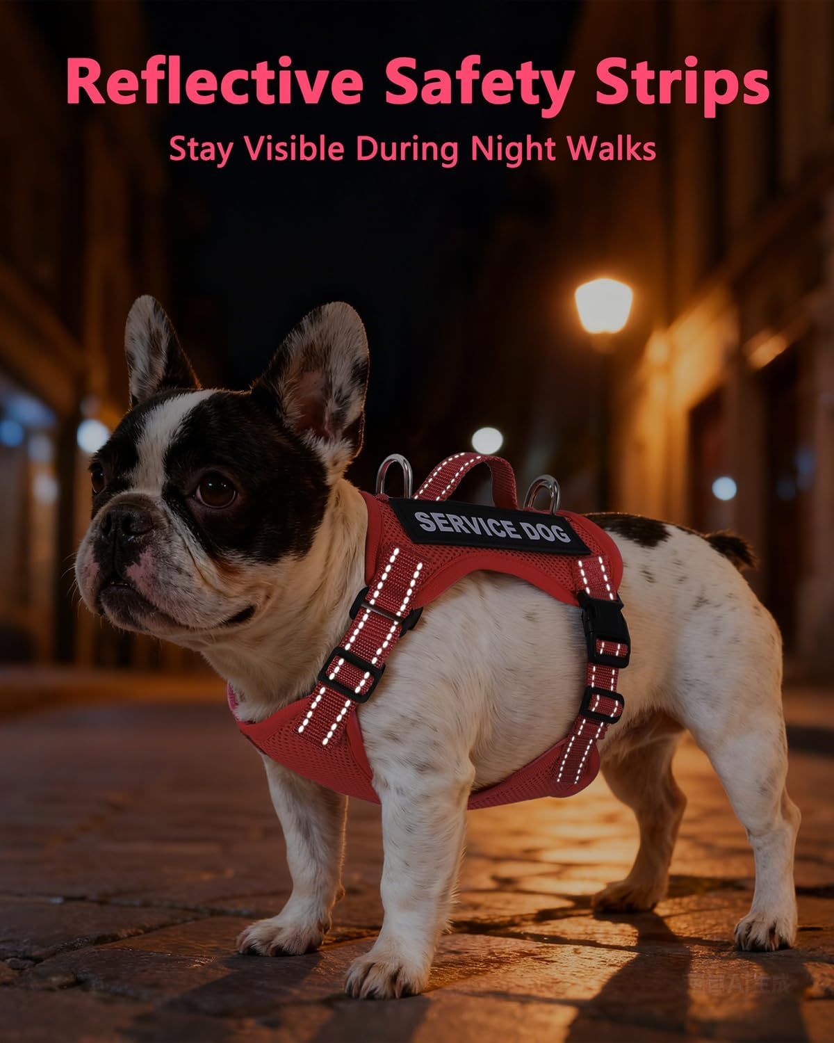 Service Dog Vest for Small Breed Dogs with ID Tag - Lightweight Harness & Leash Set with 6 Patches, Red Size S