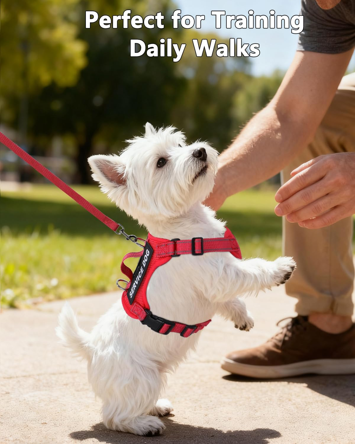 Service Dog Vest for Small Breed Dogs with ID Tag - Lightweight Harness & Leash Set with 6 Patches, Red Size S