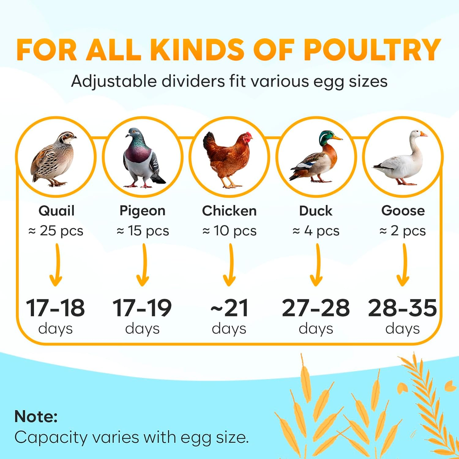 12 Egg Incubator with Automatic Egg Turning and Humidity Control – Egg Incubators for Hatching Eggs – Egg Candler, Water Bottle Refill, Air Vent