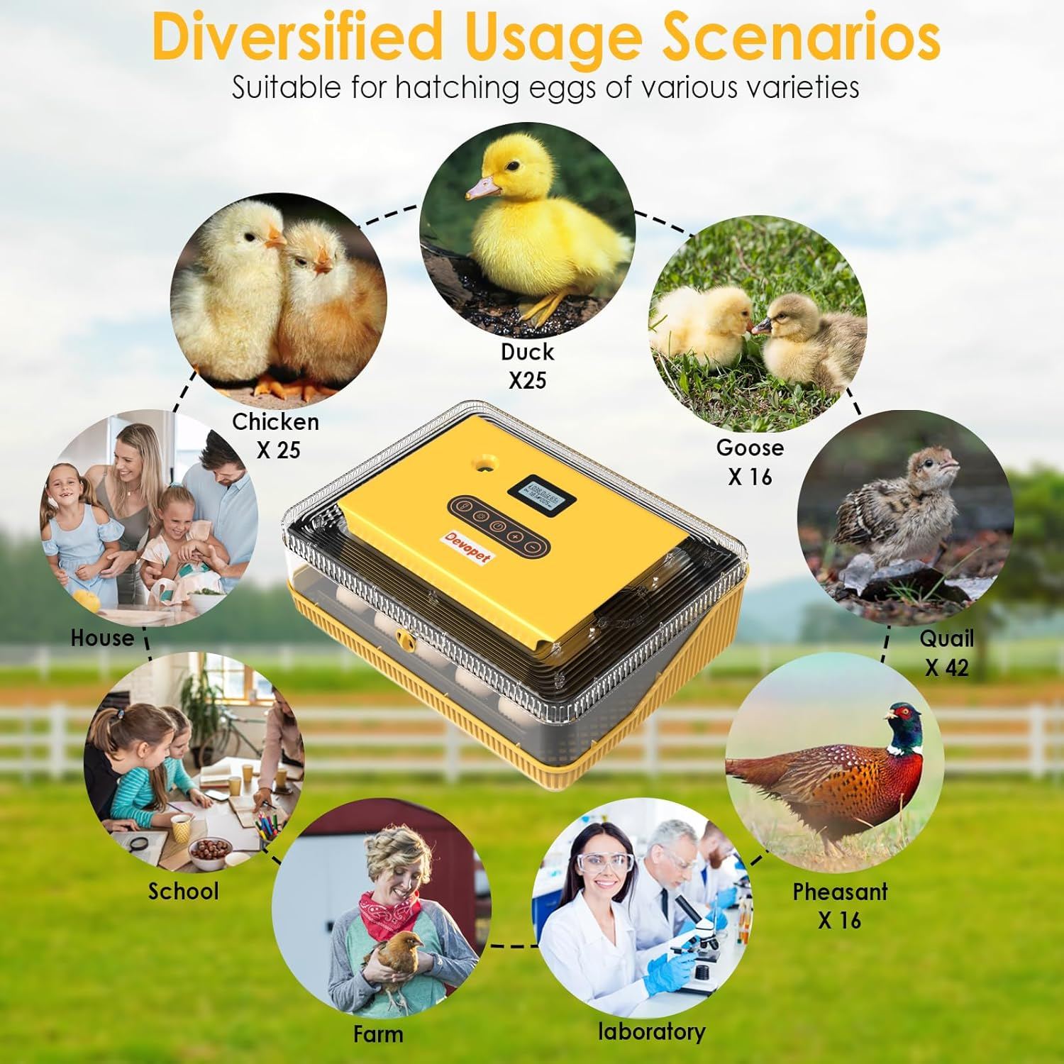 Digital Egg Incubator - Automatic Egg Turner with LED Display, Temperature & Humidity Control for 25 Chicken Eggs
