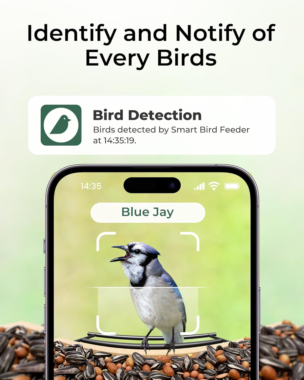 TT Nature Smart Bird Feeder with Camera – AI Recognition & Live Streaming