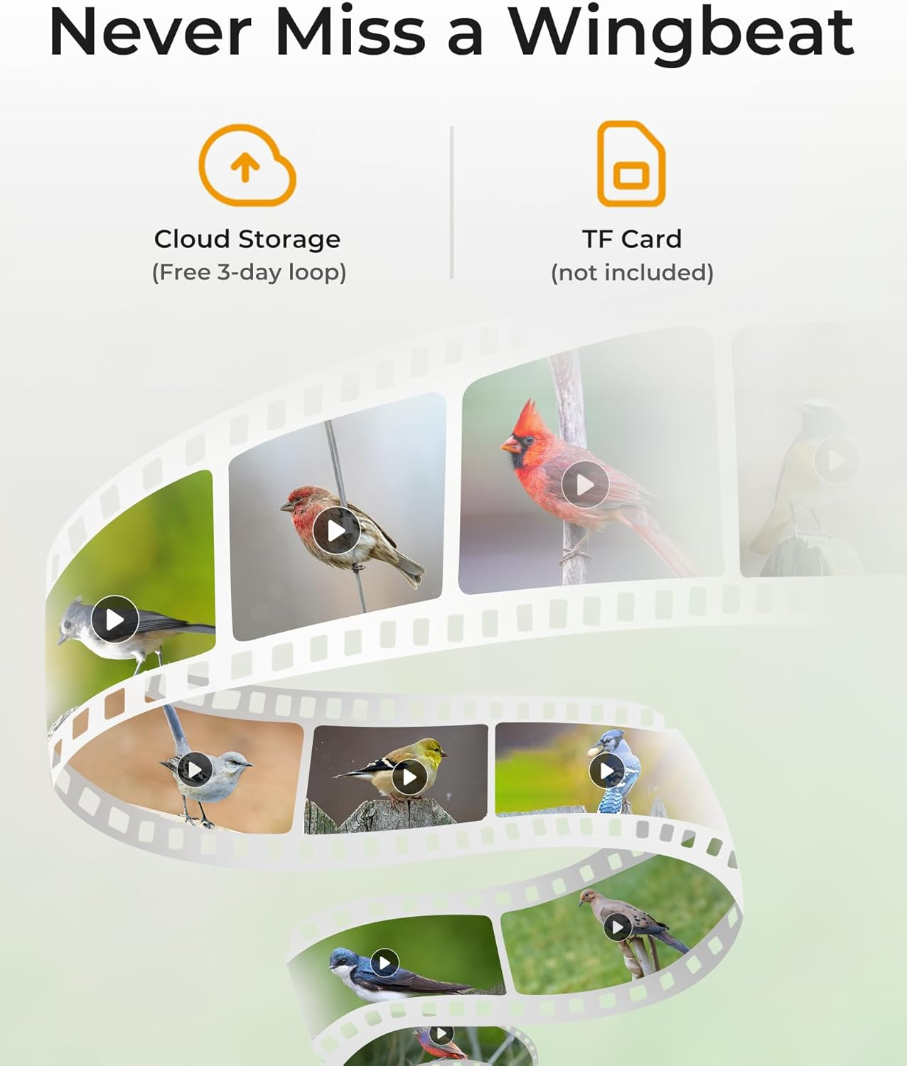 TT Nature Smart Bird Feeder with Camera – AI Recognition & Live Streaming