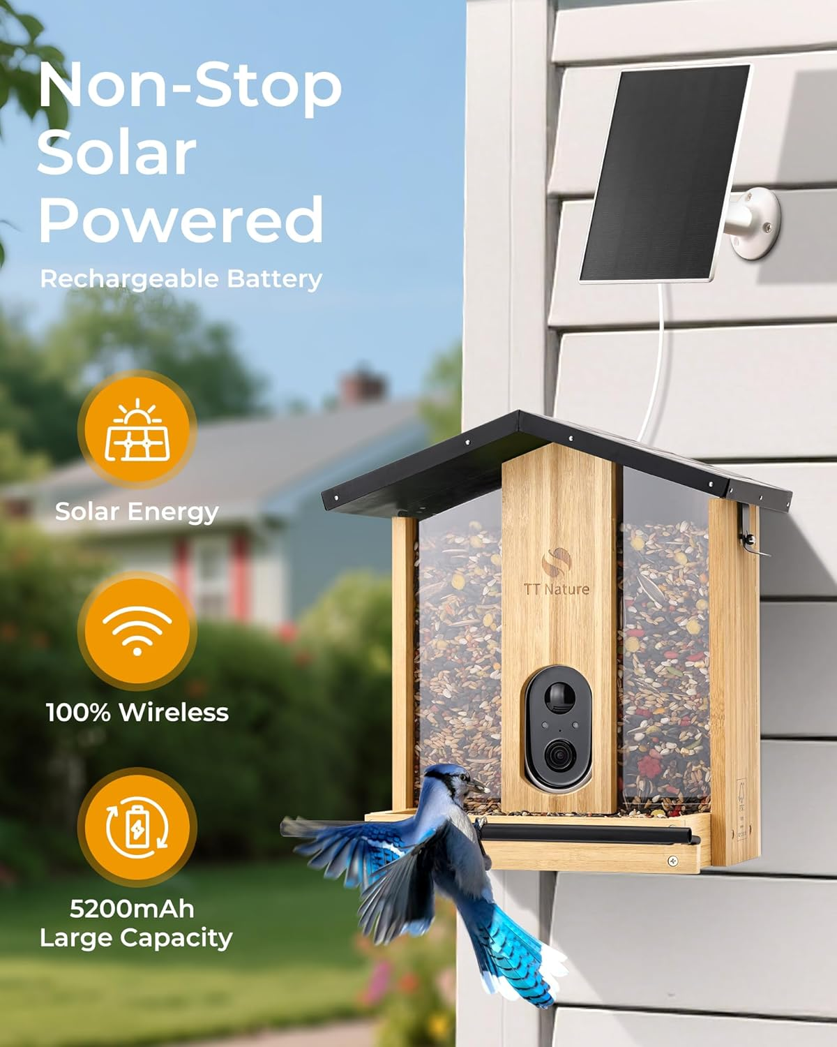 TT Nature Smart Bird Feeder with Camera – AI Recognition & Live Streaming
