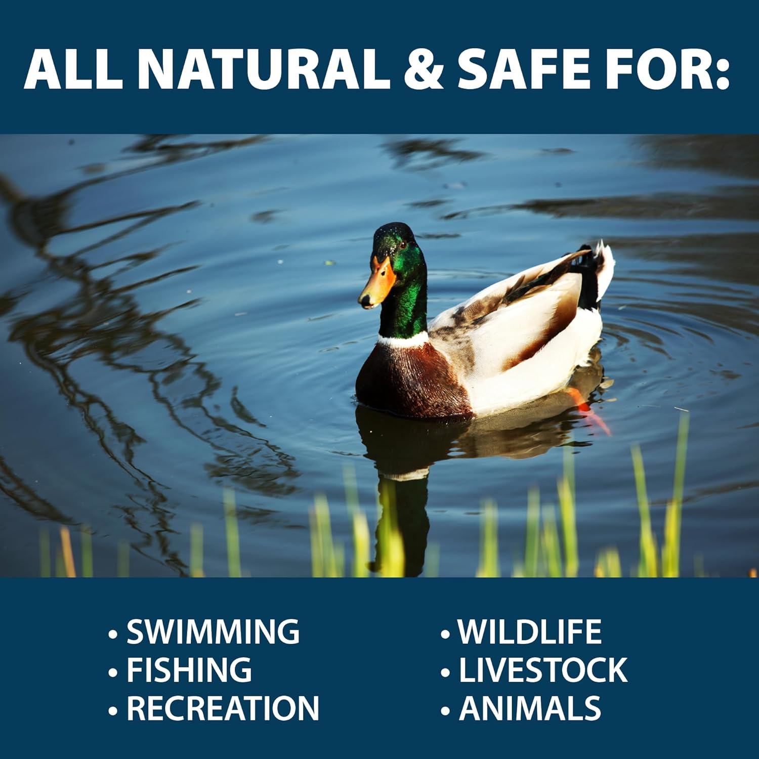 Airmax PondClear Beneficial Bacteria Pond Clarifier