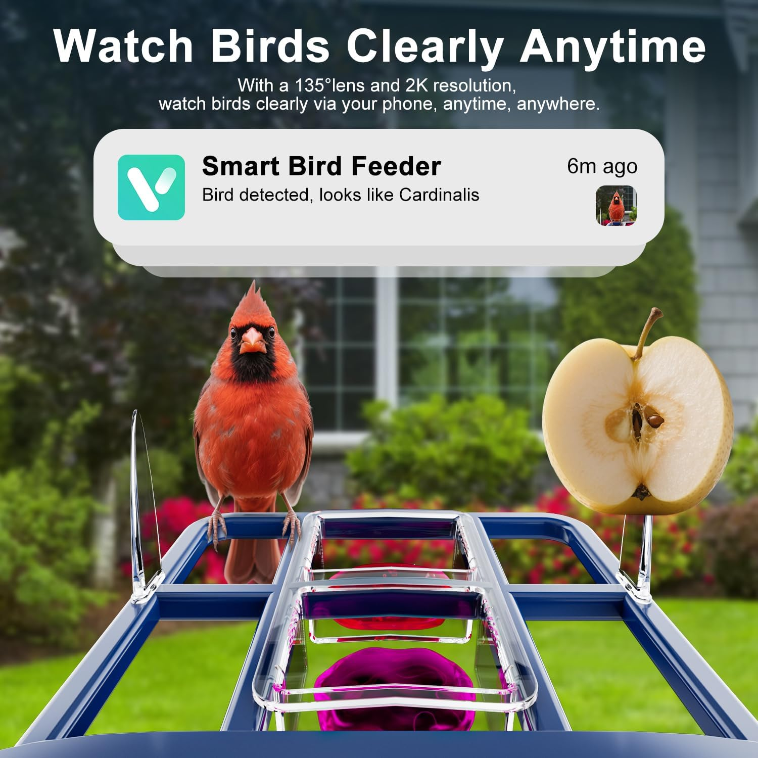 AI Smart Bird Feeder with Camera - Solar Powered 2K HD Bird Watching Camera with Species Recognition for 10,000+ Birds