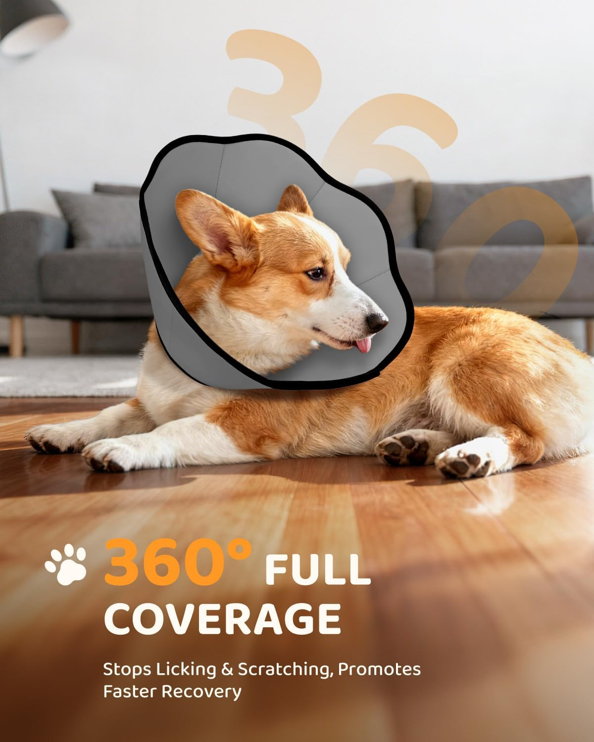 Soft Dog Recovery Collar - 360° Protection, Featherlight Cone Alternative, Machine Washable