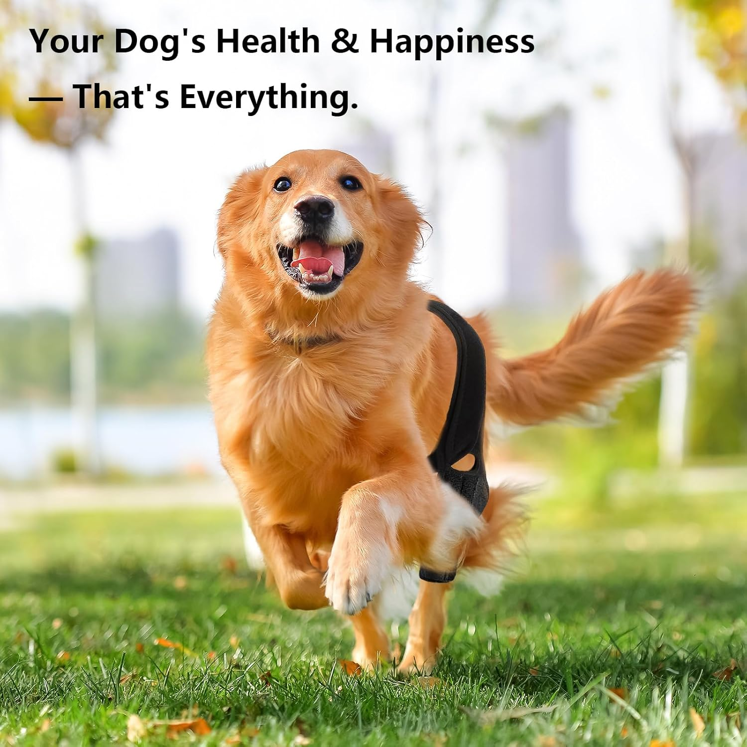 Dog Knee Brace for Hind & Front Legs - Adjustable Canine Leg Support Wrap with Side Stabilizers