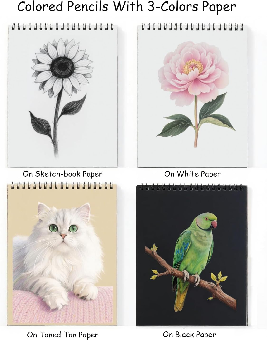 Professional Colored Pencil Art Set 72-Piece - 48 Colors, 12 Metallic, 12 Watercolor Pencils with Graphite & Charcoal