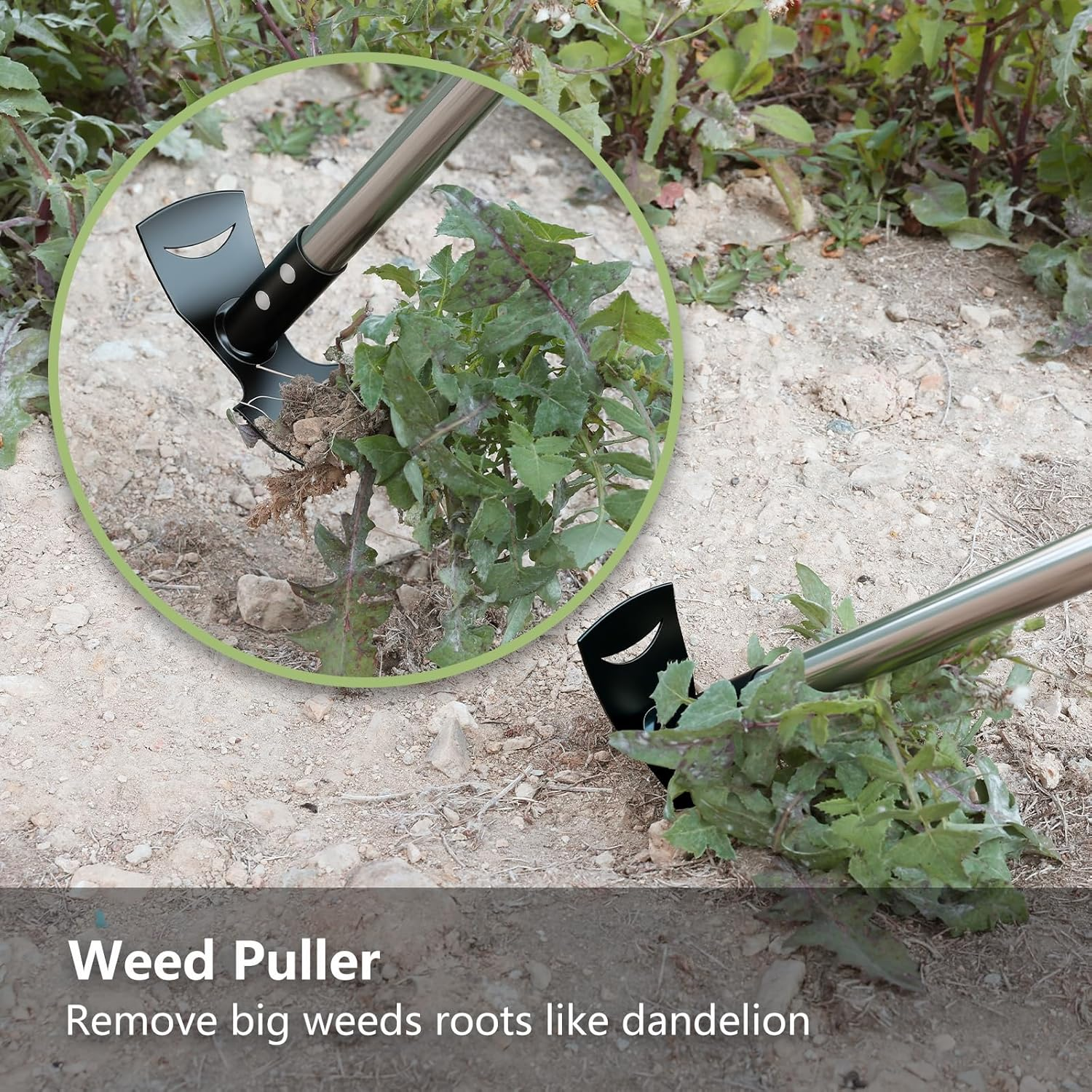 Weed Puller Tool with Long Handle (58IN) - 2-in-1 Weeder Rake & Garden Hoe Combo