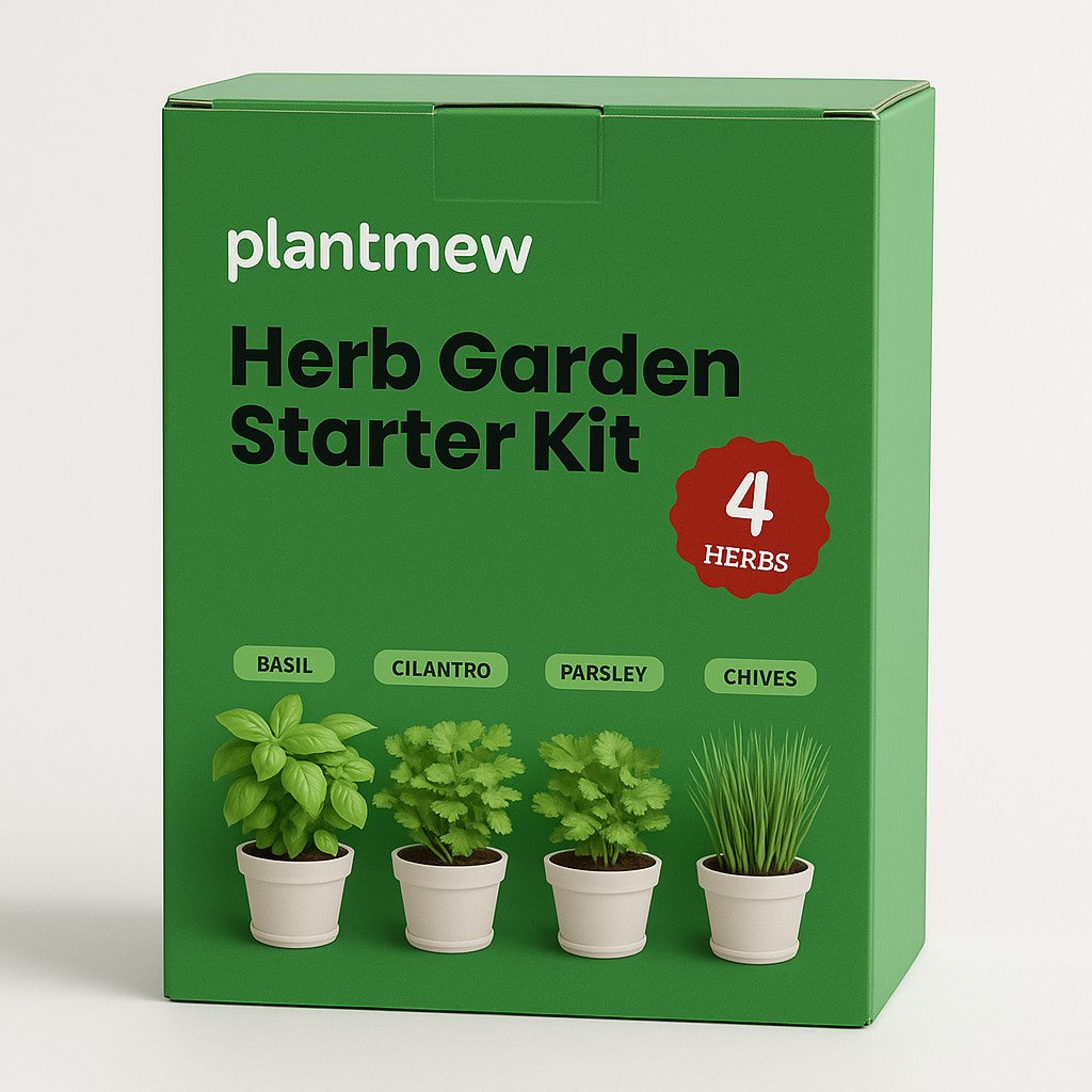 Plantmew Herb Garden Starter Kit 4 Herbs Beginner - lifestyle 1