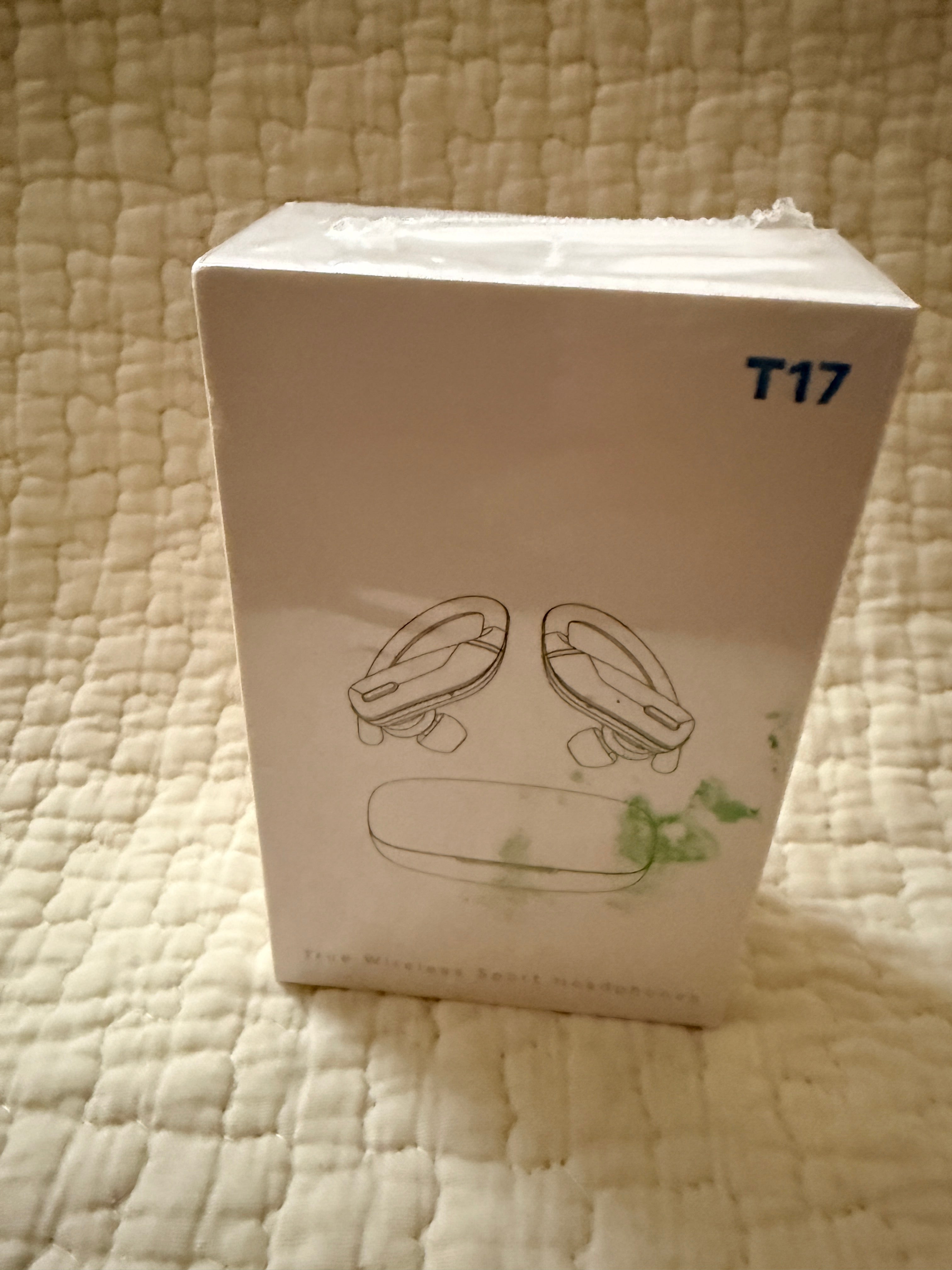 T17 True Wireless Sport Earbuds Ear-Hook Bluetooth Charging Case