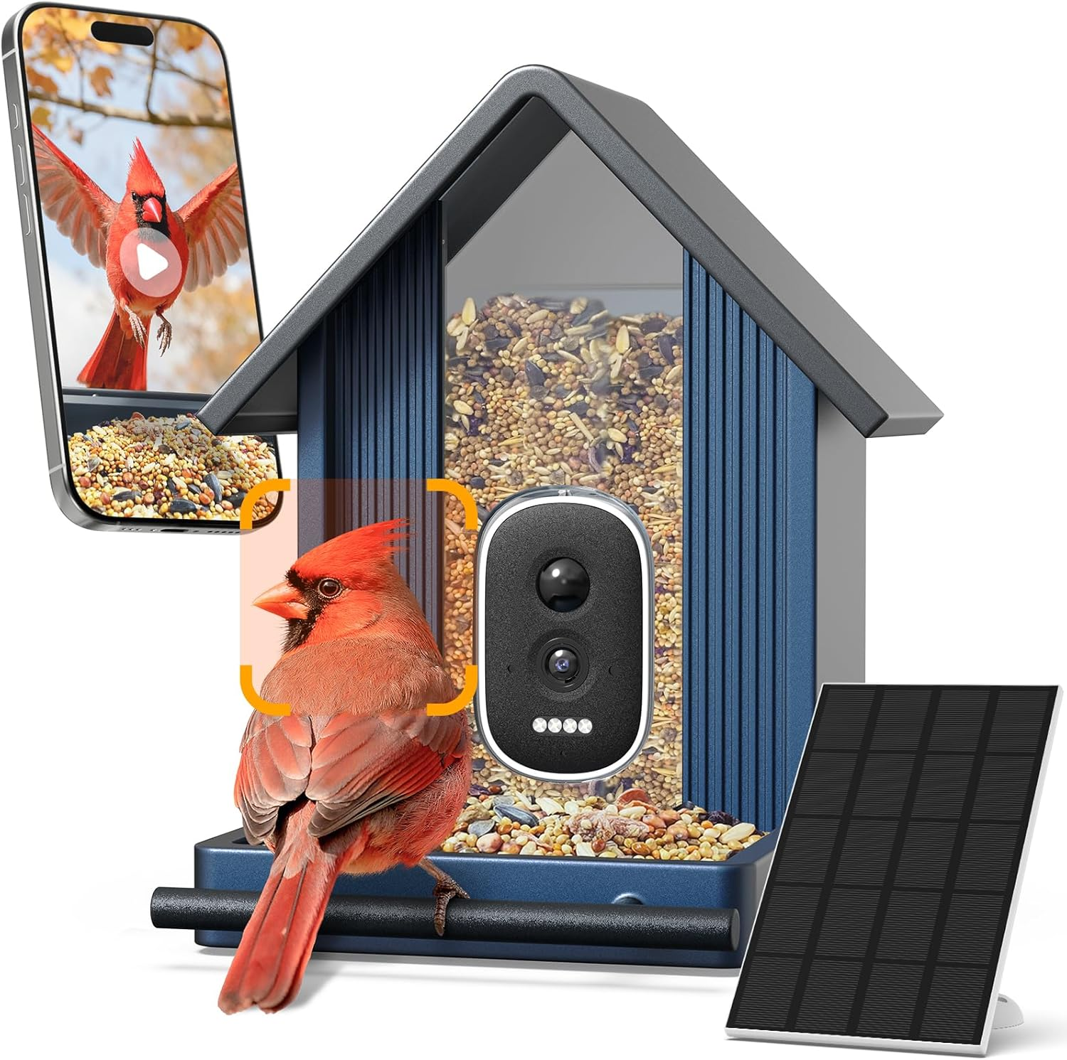 Smart Bird Feeder with Camera 2.5K UHD - AI Identifies 11,000+ Species