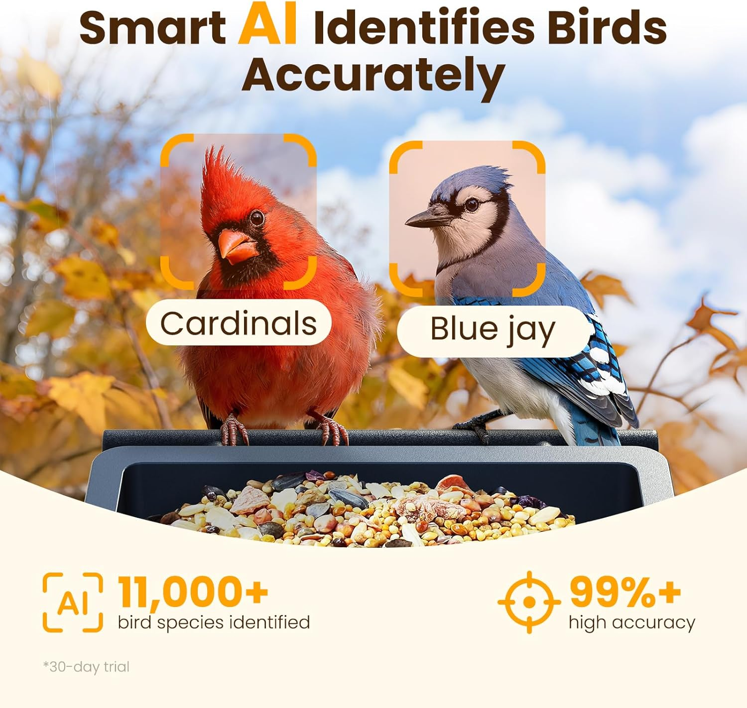 Smart Bird Feeder with Camera 2.5K UHD - AI Identifies 11,000+ Species