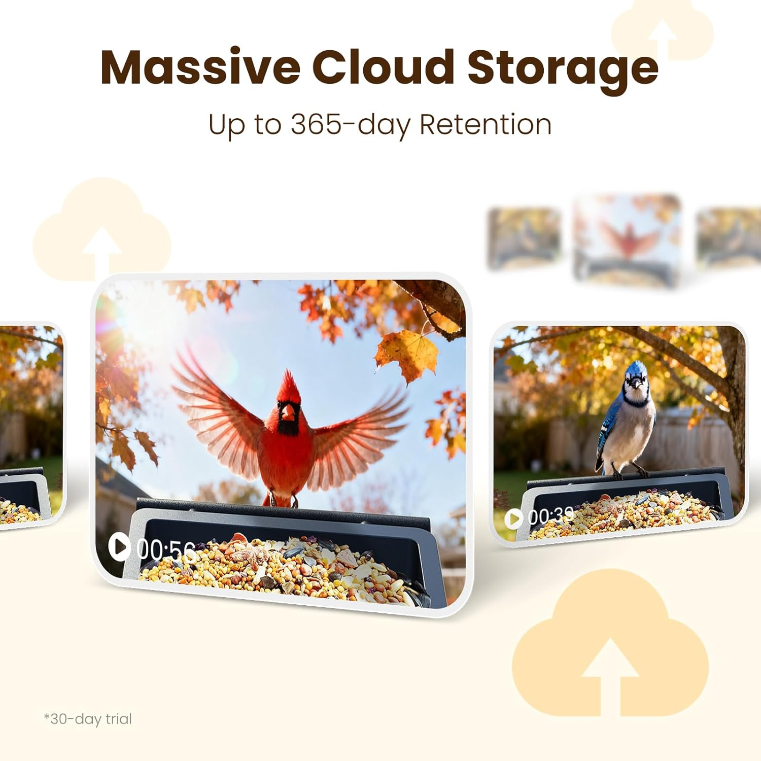 Smart Bird Feeder with Camera 2.5K UHD - AI Identifies 11,000+ Species