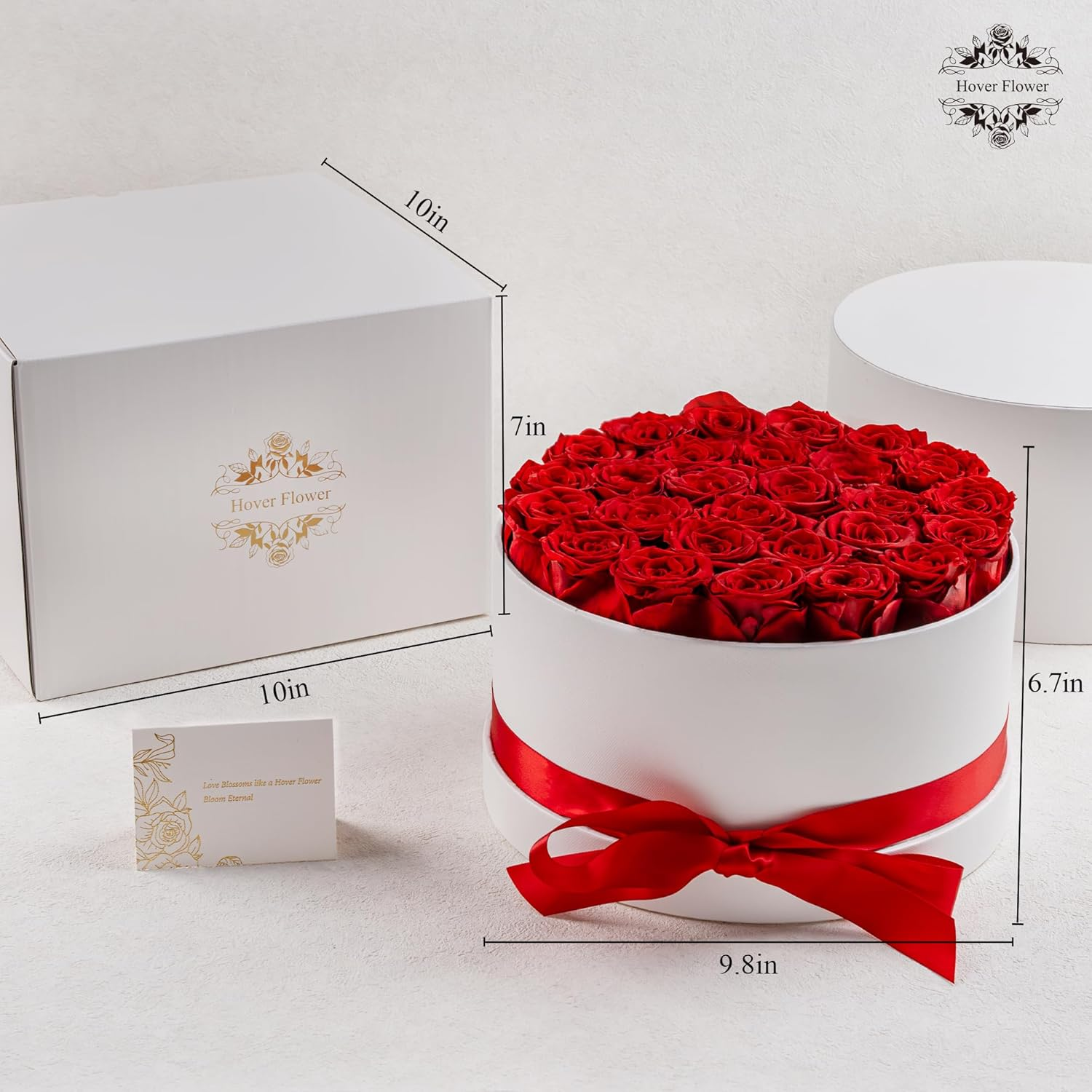 27 Red Preserved Roses in White Luxury Box - Forever Flowers Eternal Rose Gift for Anniversary Valentine's Day Birthday