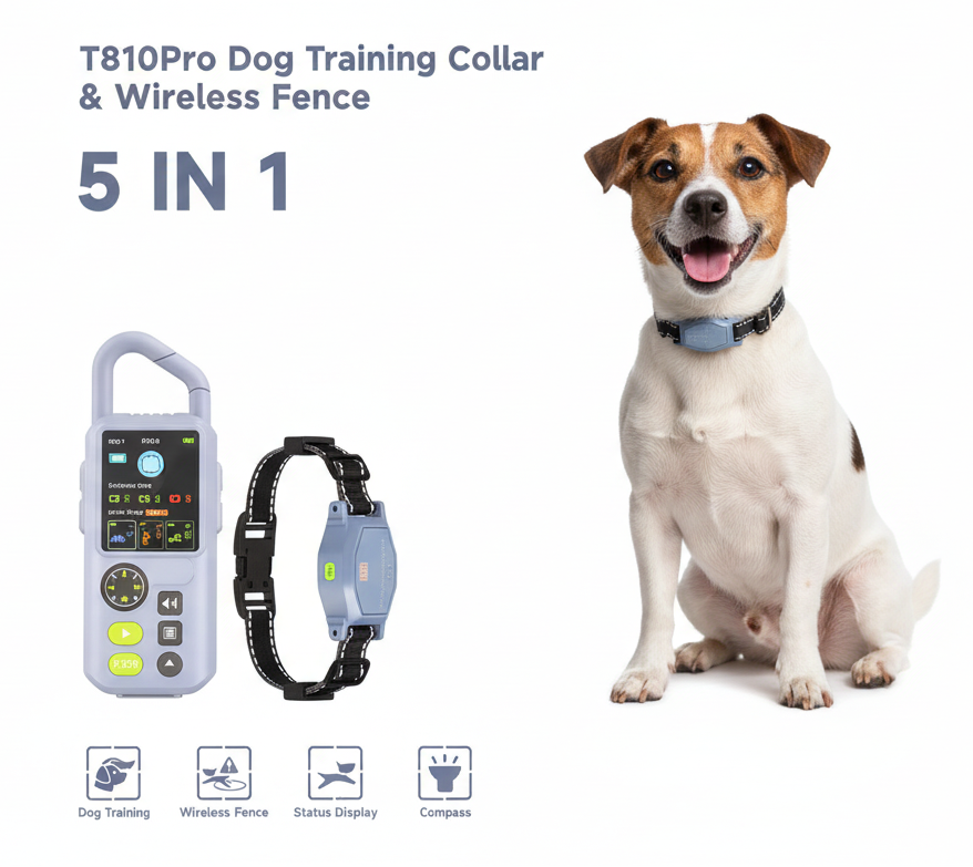 Enhanced T810Pro Dog Training Collar Product Image