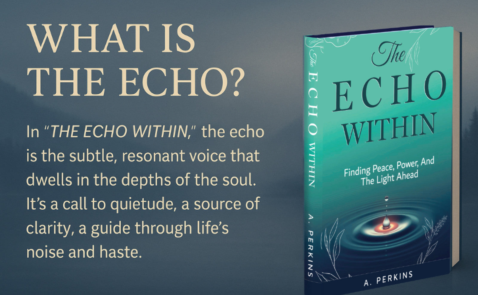 The Echo Within, Finding Peace, Power and the Light Ahead (Paperback or Hardcover)